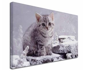 Click to see all products with this Silver Tabby Kitten.