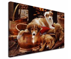 Click to see all products with these Border Collies