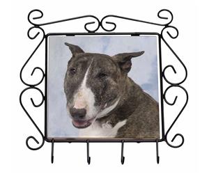 Click to see all products with this Brindle Bull Terrier