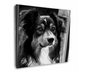 Click to see all products with this Border Collie 
