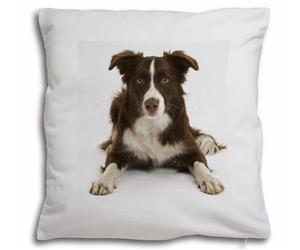 Click to see all products with this Chocolate Border Collie.