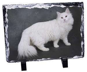Click to see all products with this White Norwegian Forest Cat.