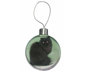 Click to see all products with this Black Persian cat.