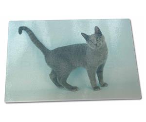 Click to see all products with this Russian Blue cat.