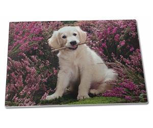 Click to see all products with this Golden Retriever Puppy