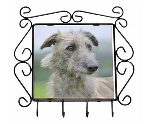 Click image to see all products with this Rough Coated Lurcher.