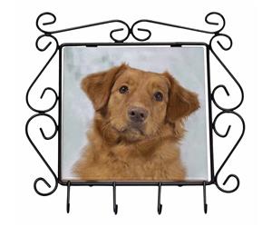 Click image to see al products with this Nova Scotia Duck-Tolling Retriever.