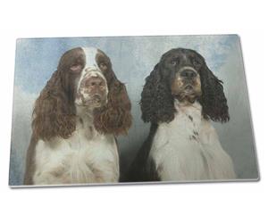 Click image to see all products with these Springer Spaniels.
