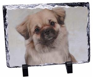 Click image to see all products with this Tibetan Spaniel.