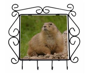 Click to see all products with this Groundhog.