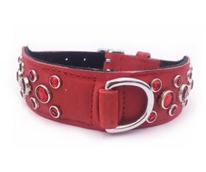 Click image to see all Red Leather Pet Collars.