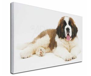 Click Image to See the Different St. Bernard Dogs & All Different Products Available