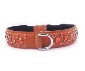 Click image to see all Orange Leather Pet Collars.