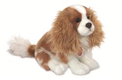 Cavalier king charles spaniel teddy clearance