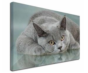 Click on Image to See Many Different 
Cat Breeds and Different Products Available