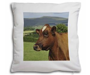 Click Image to See All the Different Cows & Bullock Products in this Section
