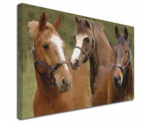 Click Image to See All Horses & Stallion Images & Products in this Section