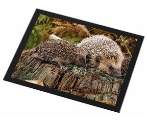 Click Image to See All Hedgehog Images & Products in this Section