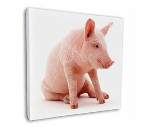 Click Image to See All the Cute Pigs and Products in this Section
