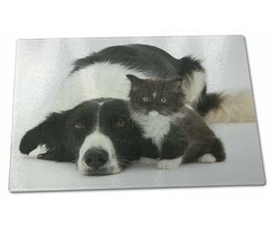 Click to see all products with this Border Collie and Kitten