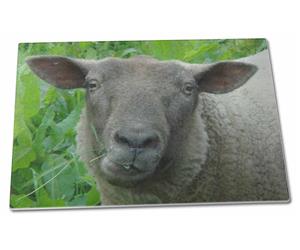 Click Image to See All the Different Sheep, Lambs and Products in this Section