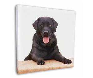 Click Image to See the Many Different Labrador Dogs & All the Different Products Available