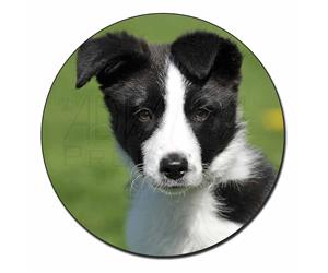 Click to see all products with this Border Collie Puppy