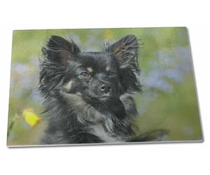 Click to see all products with this Chihuahua