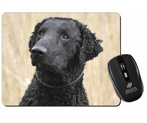 Click to see all products with this Curly Coat Retriever