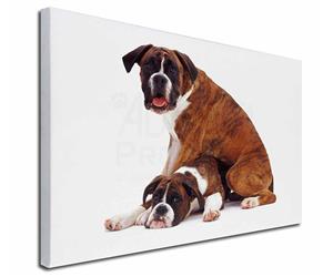 Click Image to See All the Many Different Boxer Dogs & All the Different Products Available