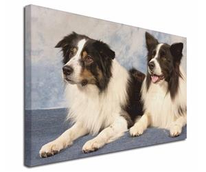Click Image to See 32 Different Border Collies & 38 Different Products for Each Image 