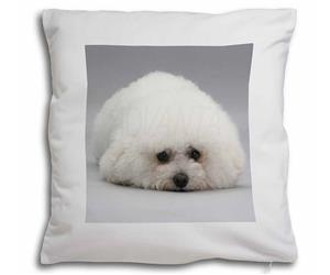 Click Image to See the Different Bichon Frise Dogs & All Different Products Available