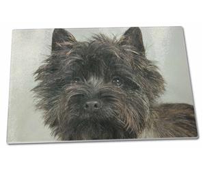 Click to see all products with this Cairn Terrier