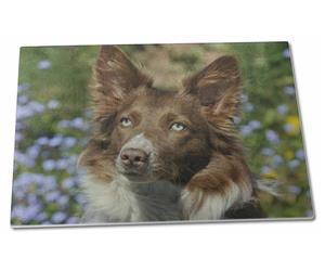 Click to see all products with this Red Border Collie