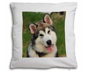 Click Image to See the Different Malamute Dogs & All the Different Products Available