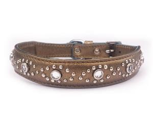 Click image to see all Bronze Leather Pet Collars.