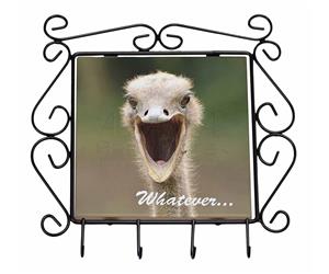 Click image to see all products with this Ostrich.