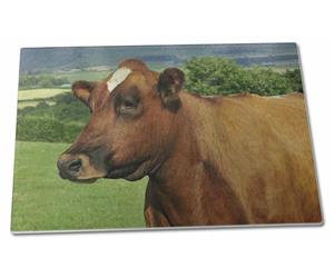 Click to see all products with this Brown Cow.