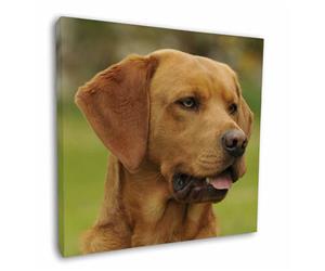 Click image to see all products with this Fox Red Labrador