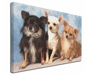 Click Image to See the Different Chihuahua Dogs & All Different Products Available