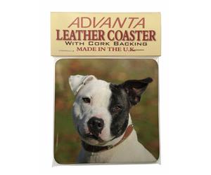 Click image to see all products with this Staffordshire Bull Terrier.