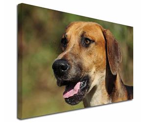 Click Image to See All the Different Products Available with this Foxhound