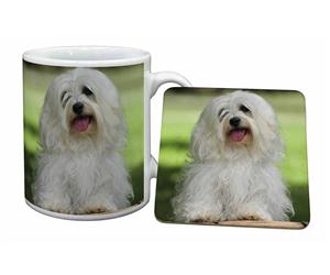 Click Image to See All the Different Products Available with this Havanese