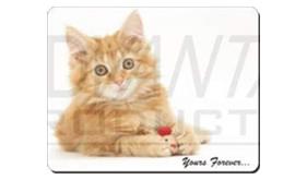 Click image to see all Valentines Cat images.