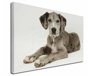 Click Image to See the Different Great Dane Dogs & All Different Products Available