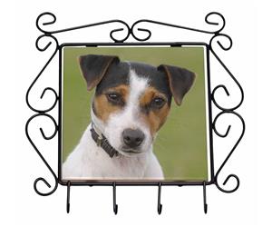 Click Image to See All the Many Different Jack Russell Dogs & All Different Products Available