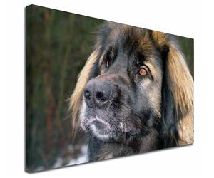 Click Image to See the Different Leonberger & All the Different Products Available