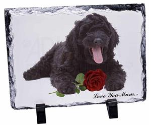 Click Image to See the Different Labradoodle Dogs & All the Different Products Available