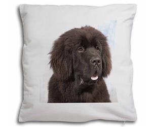 Click Image to See All the Different Products Available with this Newfoundland