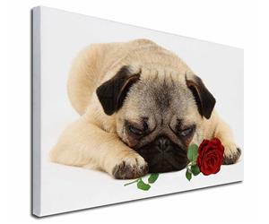 Click Image to See the Different Pug Dogs & All the Different Products Available
